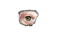 olgasirachevaart makeup eye makeupartist occhio Sticker