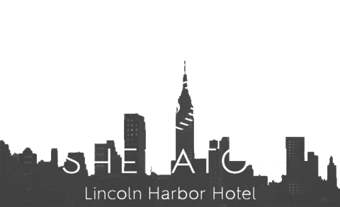 SheratonLH giphyupload Sticker