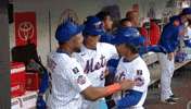 Celebrate Home Run GIF by New York Mets