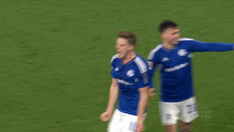 Happy Football GIF by FC Schalke 04