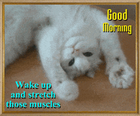 exercise GIF