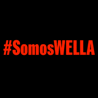 Wella Wellapro GIF by BeautyArt