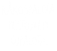 Budapest Pest Sticker