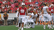 Happy College Football GIF by Wisconsin Badgers