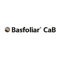 Cab Sticker by Compo Expert Brasil