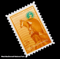 NortherHQ australia stamp joey bats GIF