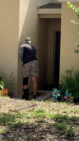 Florida Man With Injured Leg Wrangles Feisty Alligator
