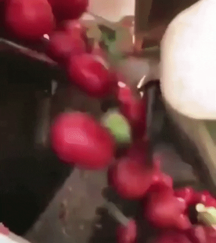 giffunme giphyupload GIF