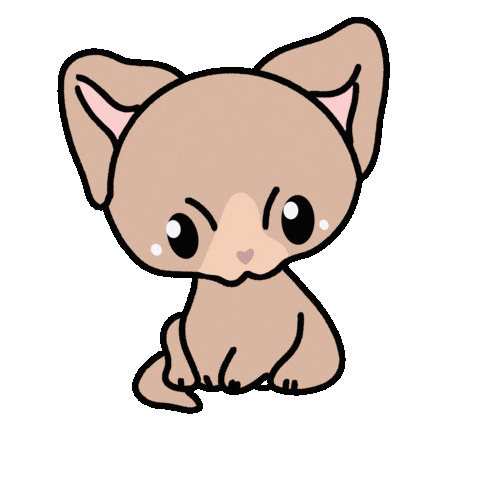 Dog Chihuahua Sticker
