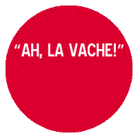 France Omg Sticker by Alliance Française de Chicago