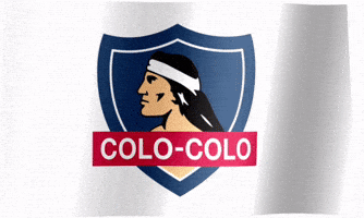 mvikedu colo centenario albo colocolo GIF