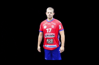 hsg-swrd-handball hsgswrd GIF
