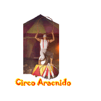 Ring Of Fire Sticker by La Scène