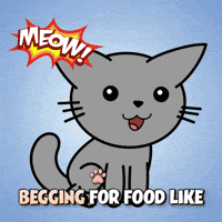Hungry Feed Me GIF by Hugo.fm