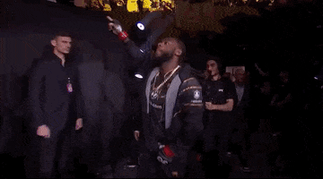 Mixed Martial Arts Sport GIF by UFC