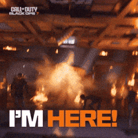 Bo7 GIF by Call of Duty