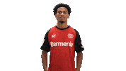Bayer Leverkusen Cheering Sticker by Bundesliga