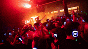Party Fun GIF by RGB Disco