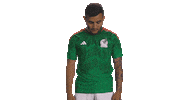 World Cup Futbol Sticker by MiSelecciónMX