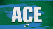 Volleyball Ace GIF by GreenWave