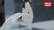 theoriginalsuperglue  GIF