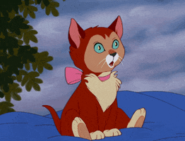 alice in wonderland cat GIF by Disney