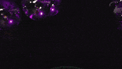 Oregon Ducks Duck GIF by University of Oregon