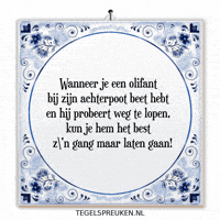 Humor Wijsheid GIF by Tegelspreuken.nl