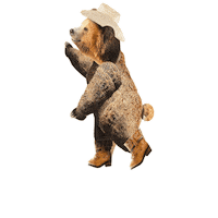 Bear Cowboy Hat Sticker by Birch Benders