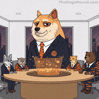 I Told You So Success GIF by Doge Pound