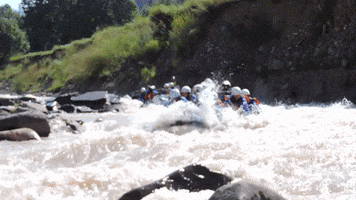VDFO  GIF