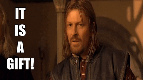 OrangeHatReviews giphygifmaker lord of the rings boromir the one ring GIF