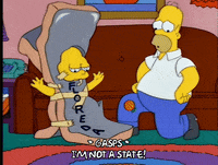 Season 5 Episode 10 GIF by The Simpsons