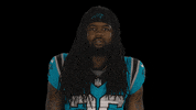 North Carolina Football GIF by Carolina Panthers