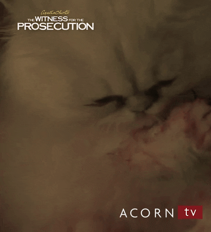 witness for the prosecution cat GIF by Acorn TV