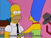 homer simpson episode 6 GIF