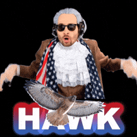 You Get Me Hawk GIF