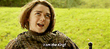 arya stark oh snap GIF