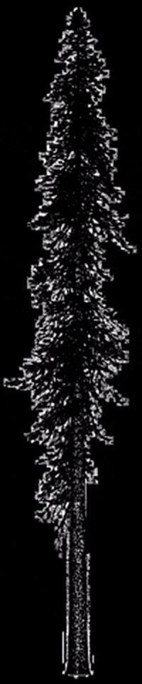 belwith-keeler giphygifmaker GIF