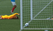 Anger No GIF by Holstein Kiel
