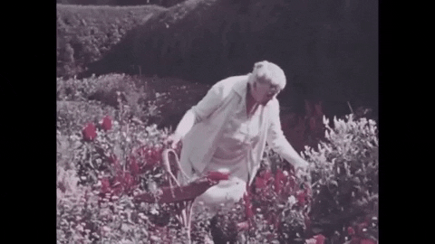 usnationalarchives giphygifmaker flowers mothers day gardening GIF
