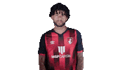 Happy Football Sticker by AFC Bournemouth