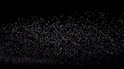 Birds Backgrounds GIF by The Chemical Brothers