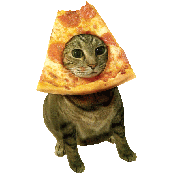 Pizza Cats Sticker by the pizzacat for iOS & Android GIPHY