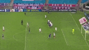 cartoleiros futebol fortaleza felipe GIF