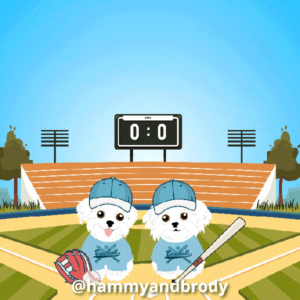 Dog Baseball GIF by HammyandBrody