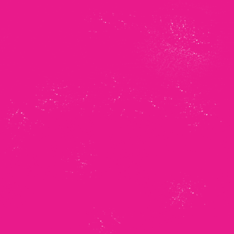 Digital art gif. Against a hot pink background, the words, "Our bodies, our futures, our abortions," appear in angry white all-caps letters.