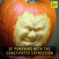Pumpkin Pooping GIF by 60 Second Docs