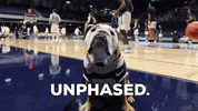 Happy Butler Bulldogs GIF by Butler University