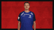 Sv Darmstadt 98 Football GIF by Bundesliga